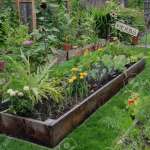 Personalized Health Garden Consultations